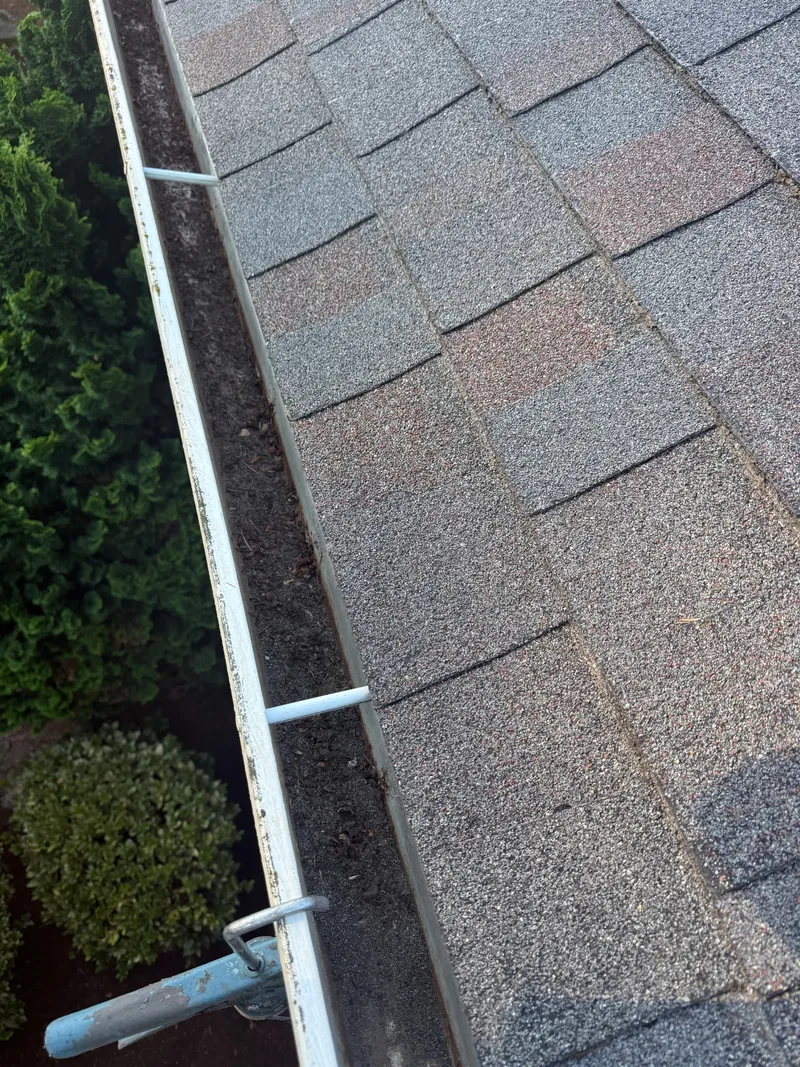 Mesh Guard Installation